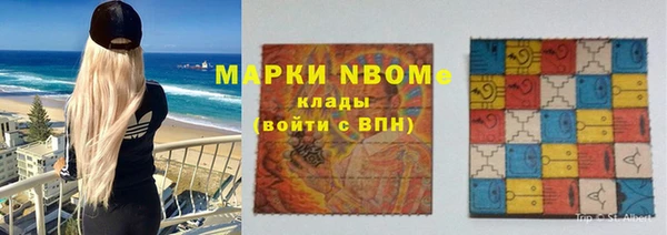 стаф Ельня