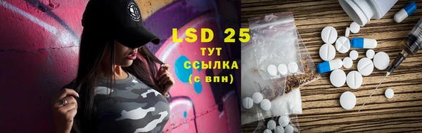 стаф Ельня
