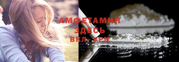 стаф Ельня