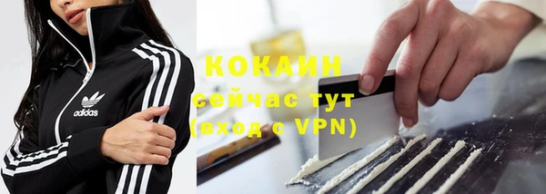 стаф Ельня