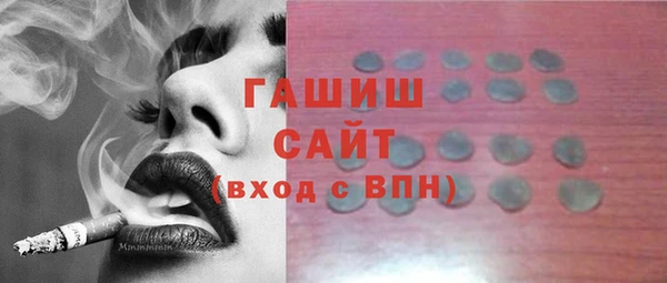 стаф Ельня
