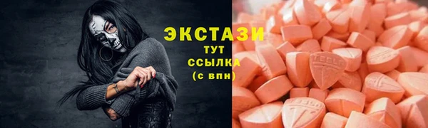 стаф Ельня