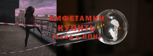 стаф Ельня