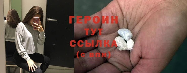 стаф Ельня