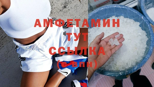 стаф Ельня