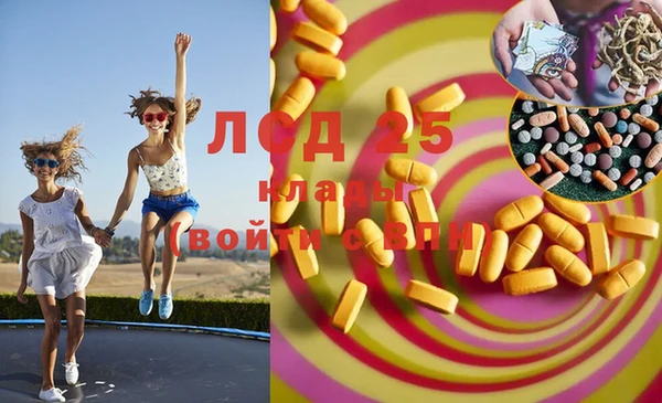 стаф Ельня