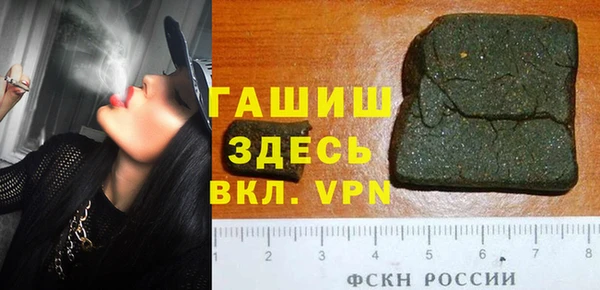 стаф Ельня
