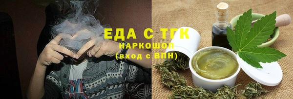 стаф Ельня