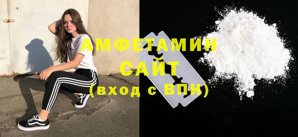 стаф Ельня