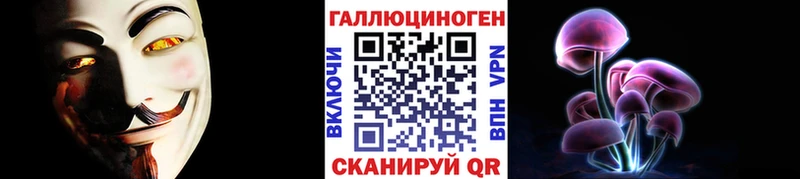 Купить  Ветлуга  Псилоцибиновые грибы Psilocybine cubensis 