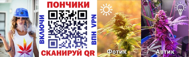 Купить закладки  Ветлуга  Канабис AK-47 